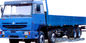 Couleur rouge du camion 8X4 de cargaison de ZZ1316M4669V SINOTRUK STEYR et bleue verte résistante